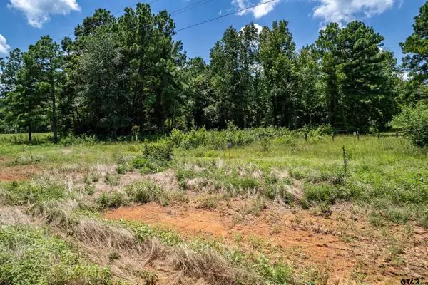 Lot 71 Star Mountain, Winona,  75792