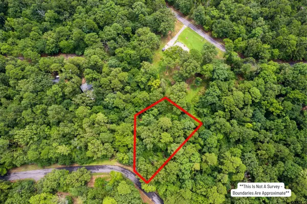 Lot 33 Spring Creek Drive, Mt Vernon,  75457