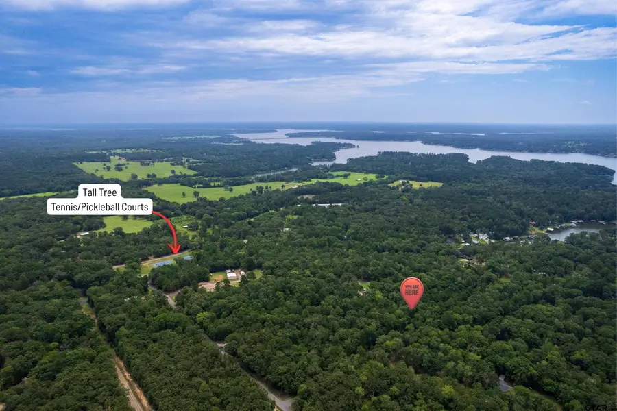 Lot 33 Spring Creek Drive, Mount Vernon, TX 75457 - #3