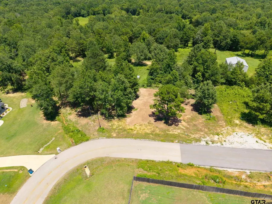 21019 Patriot Circle, Tyler, TX 75703 - #2