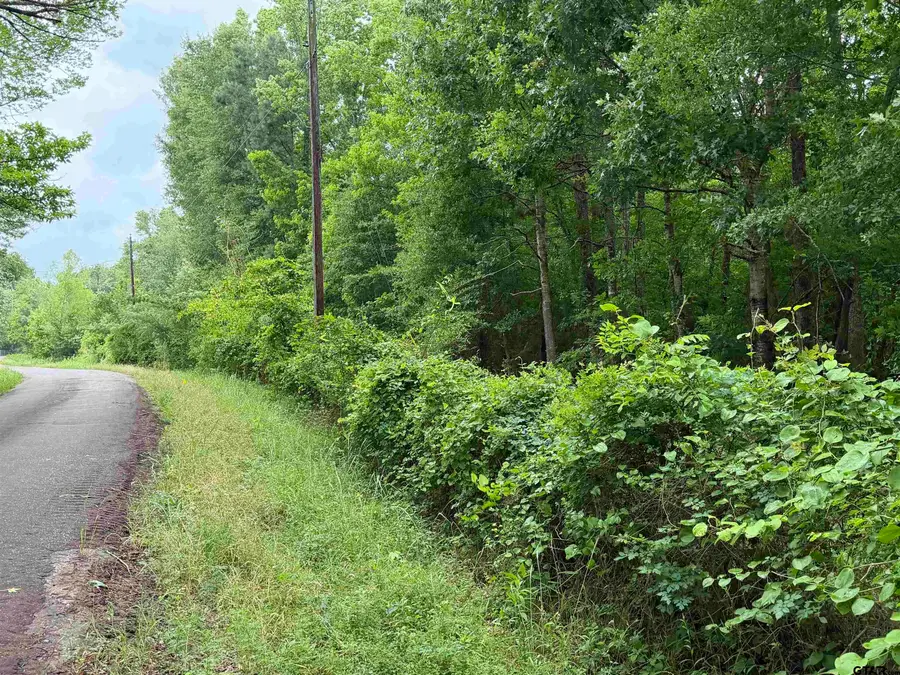 000B County Road 1204, Rusk, TX 75785 - #2