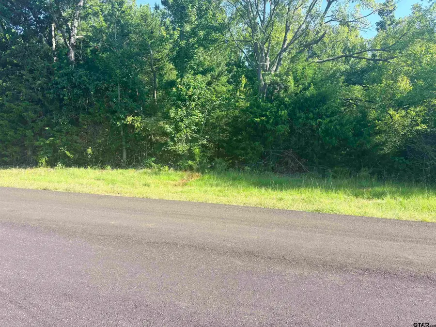 4185 Fm 855 W, Bullard, TX 75757 - #2
