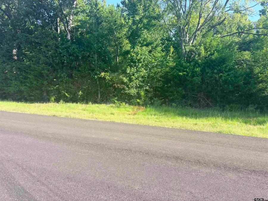 4185 Fm 855 W, Bullard, TX 75757 - #3
