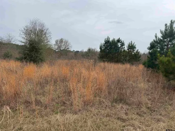 1335 San Saba, Bullard,  75757