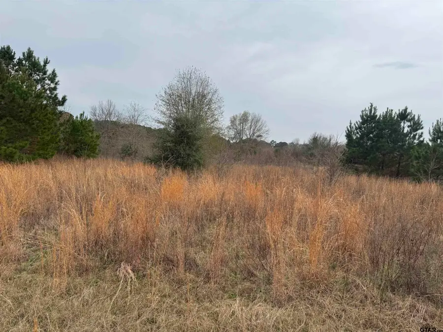 1335 San Saba, Bullard, TX 75757 - #2