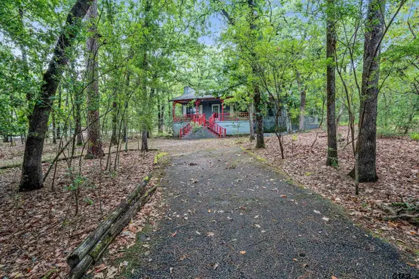 224 Blue Bird Ln, Holly Lake Ranch,  75765