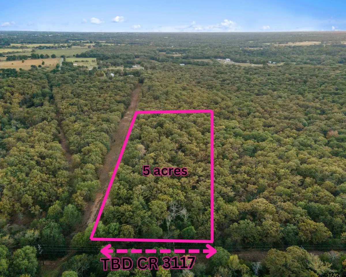 TBD County Road 3117, Edgewood, TX 75117 - #1