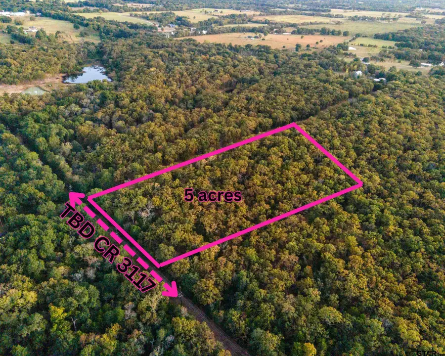 TBD County Road 3117, Edgewood, TX 75117 - #2