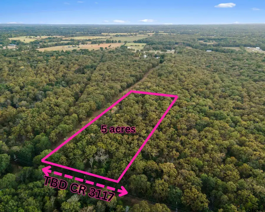 TBD County Road 3117, Edgewood, TX 75117 - #3