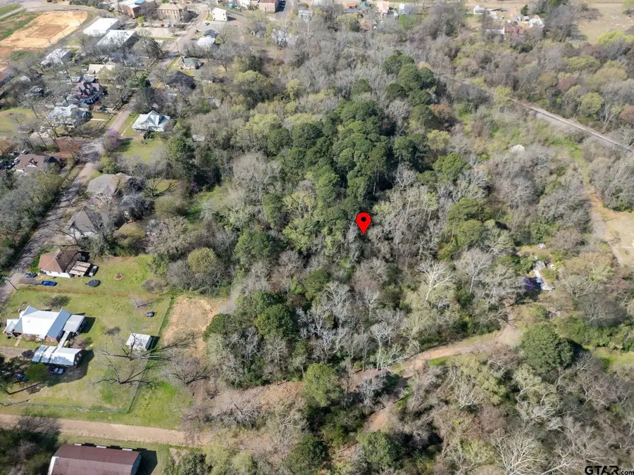 TBD Jefferson, Daingerfield, TX 75638 - #3