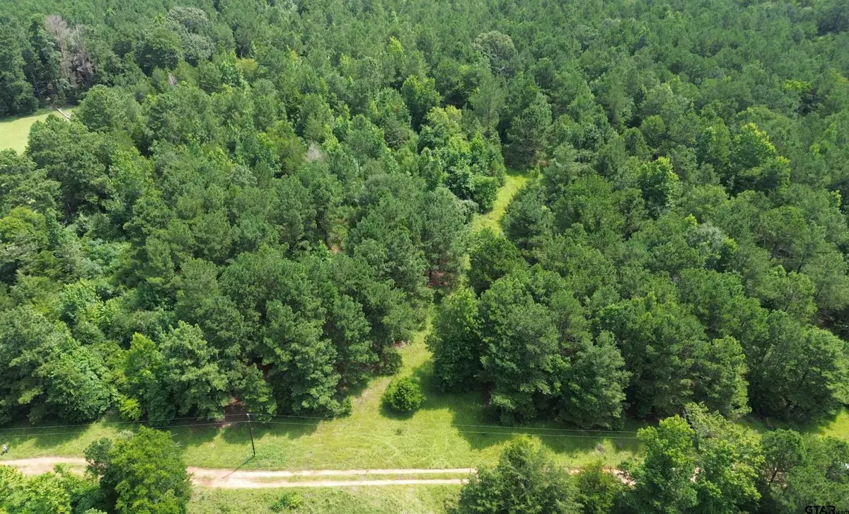 462 Cr 1655, Crockett, TX 75835 - #1