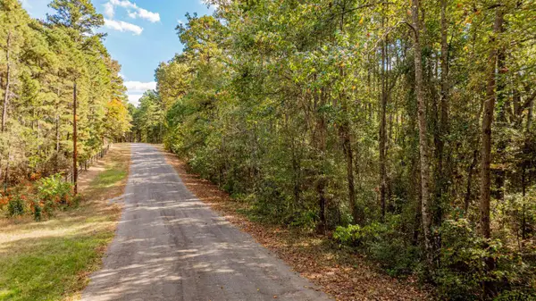 TBD Cr 4558, Winnsboro,  75494