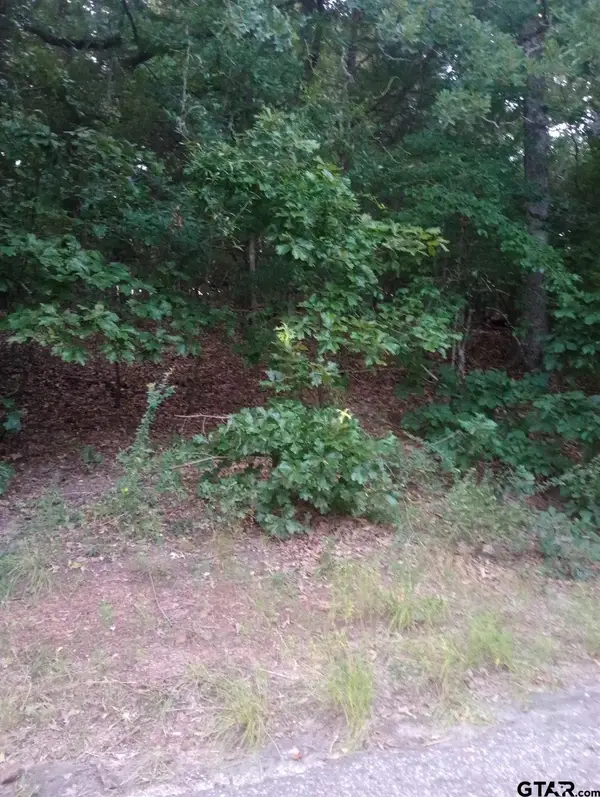 0000 Wildwood, Murchison,  75778