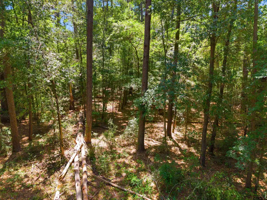 17837 Deer Trail, Flint, TX 75762 - #2