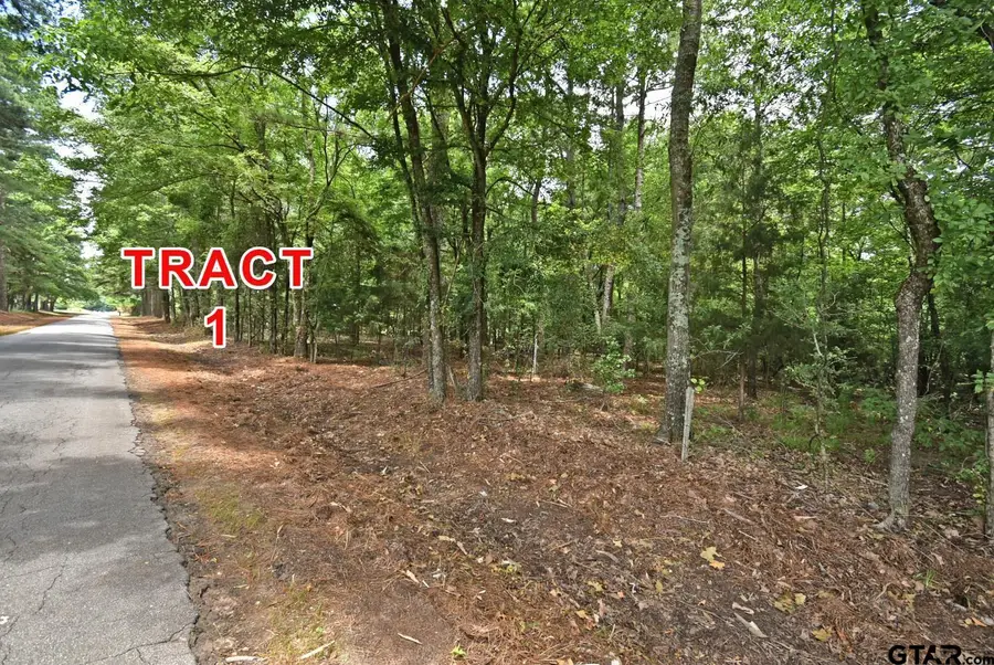 Tract 1 County Road 3117, Clarksville, TX 75426 - #2