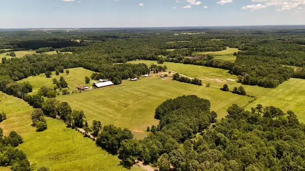 TBD County Road 235, Beckville,  75631