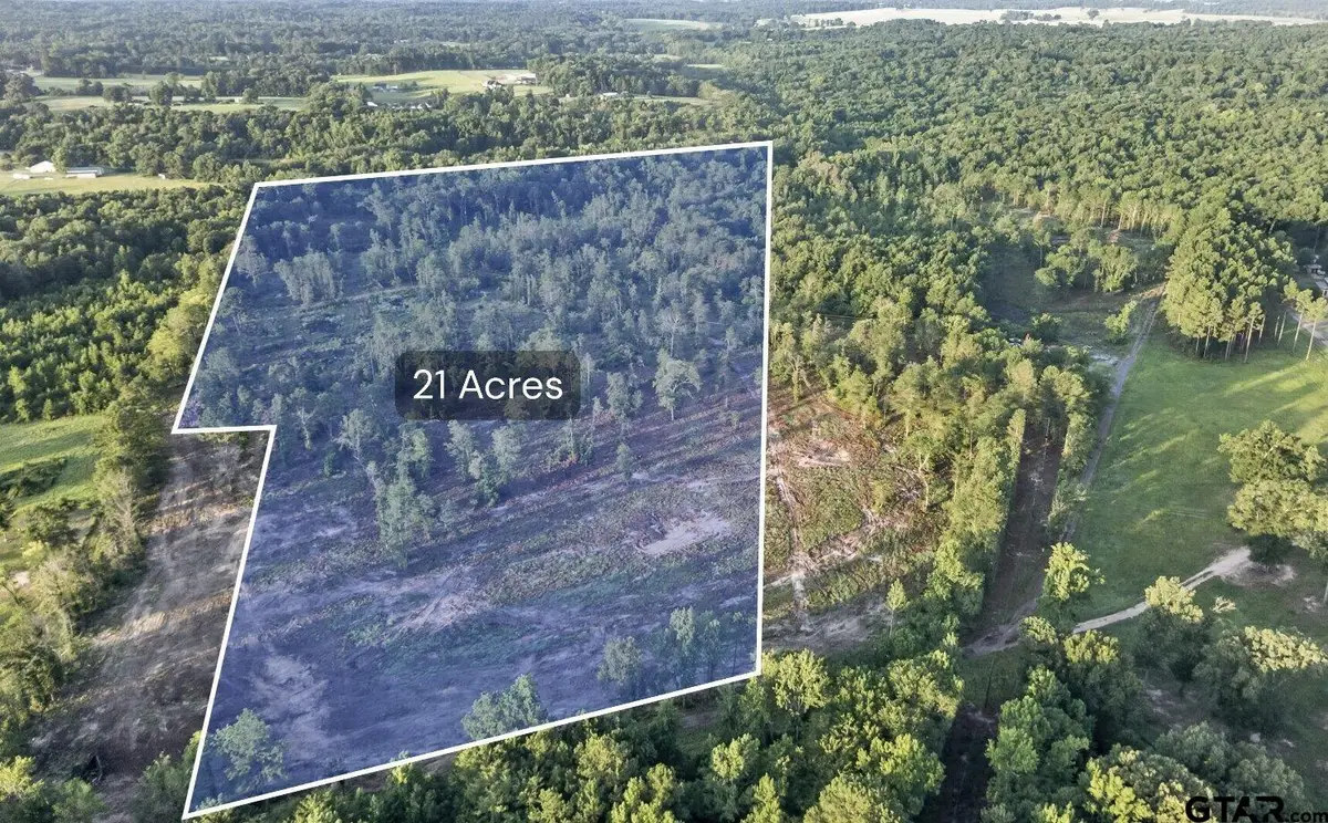 TBD 21 Acres Cr 3116, Winona, TX 75792 - #1