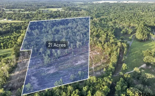 TBD 21 Acres Cr 3116, Winona,  75792