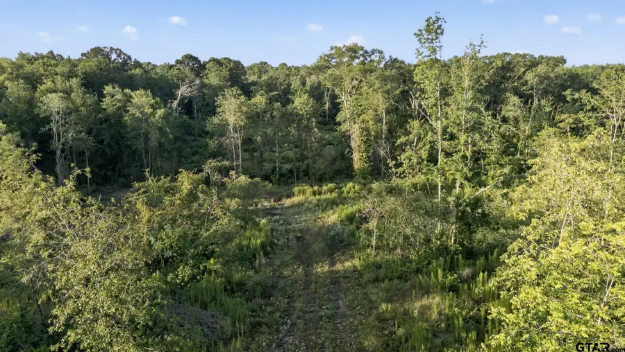 TBD 21 Acres Cr 3116, Winona, TX 75792 - #3