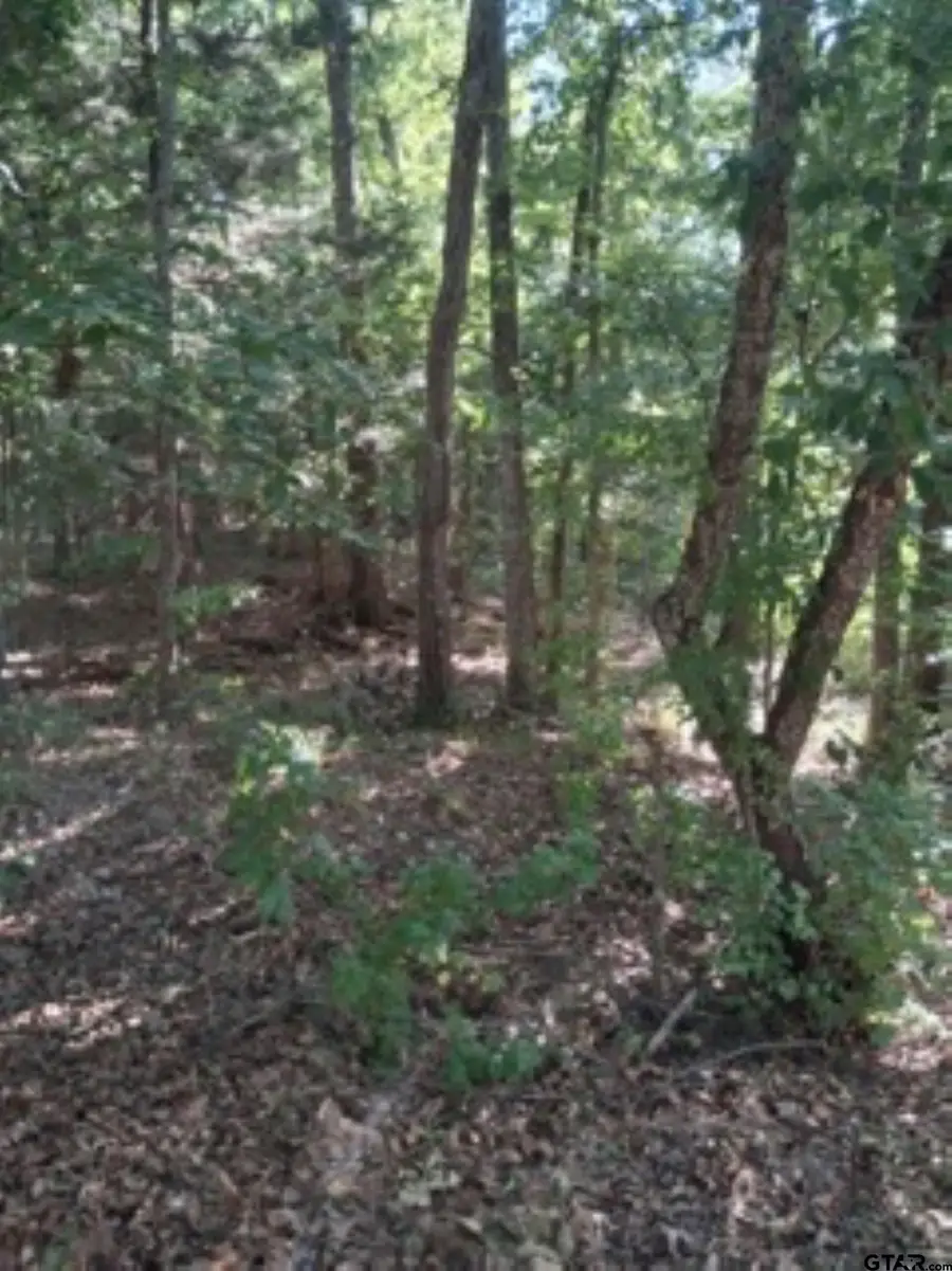 tbd Summit Ridge, Murchison, TX 75778 - #2