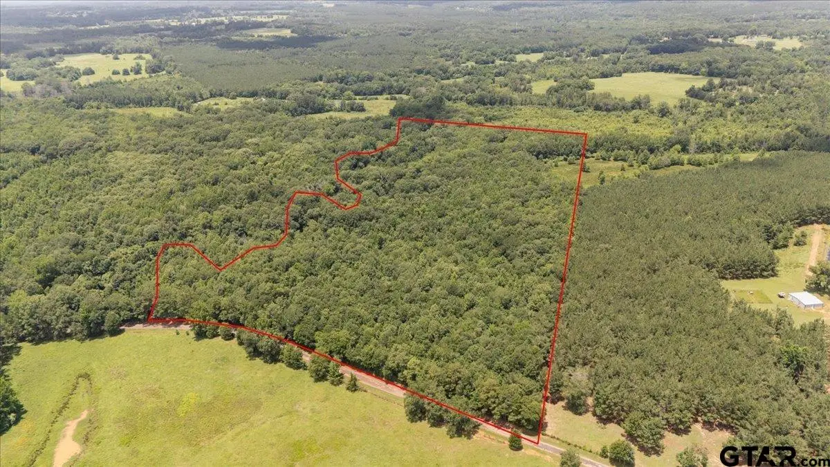 TBD 38.110 Ac Cr 3206, Mount Enterprise, TX 75681 - #1