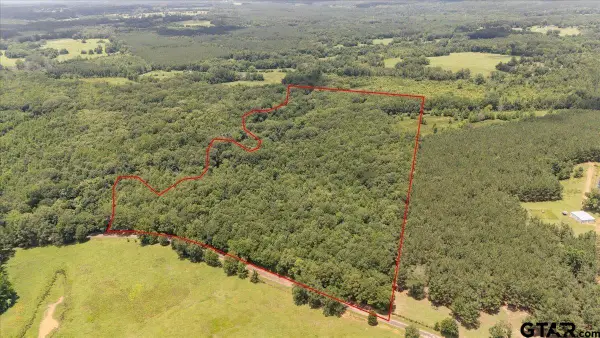TBD 38.110 Ac Cr 3206, Mt Enterprise,  75681