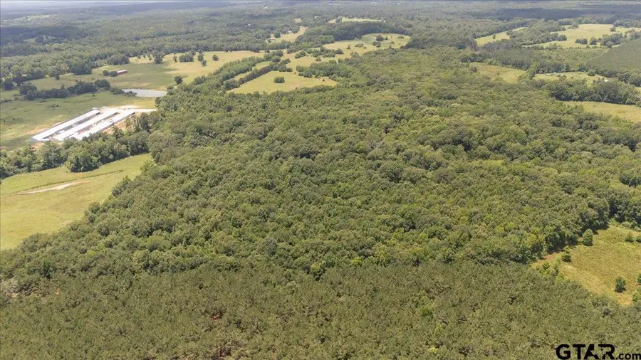 TBD 38.110 Ac Cr 3206, Mount Enterprise, TX 75681 - #3