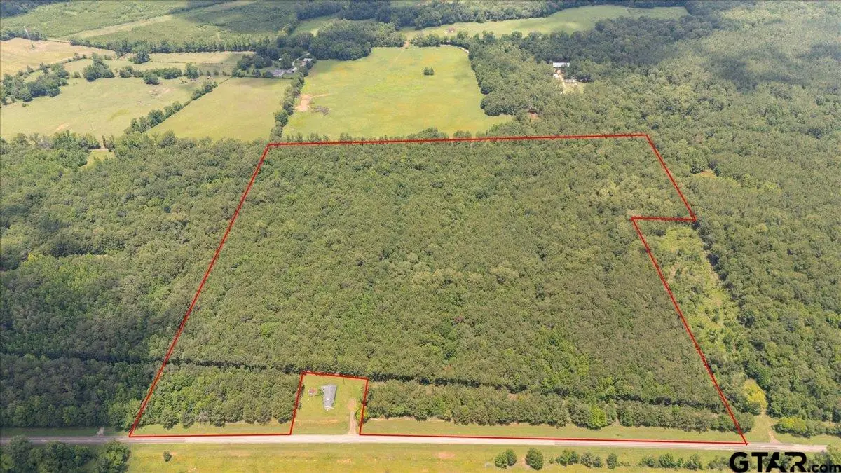 TBD 50.795 Ac Fm 2496, Mount Enterprise, TX 75681 - #1