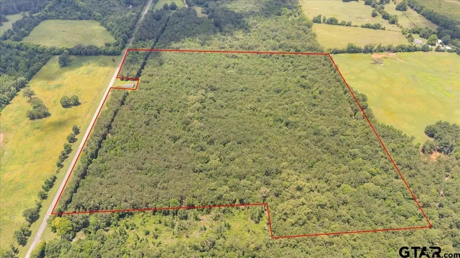 TBD 50.795 Ac Fm 2496, Mount Enterprise, TX 75681 - #2