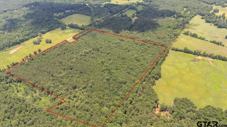 TBD 50.795 Ac Fm 2496, Mount Enterprise, TX 75681 - #3