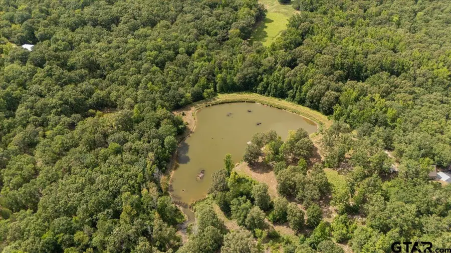 1522 Fm 17, Grand Saline, TX 75140 - #2