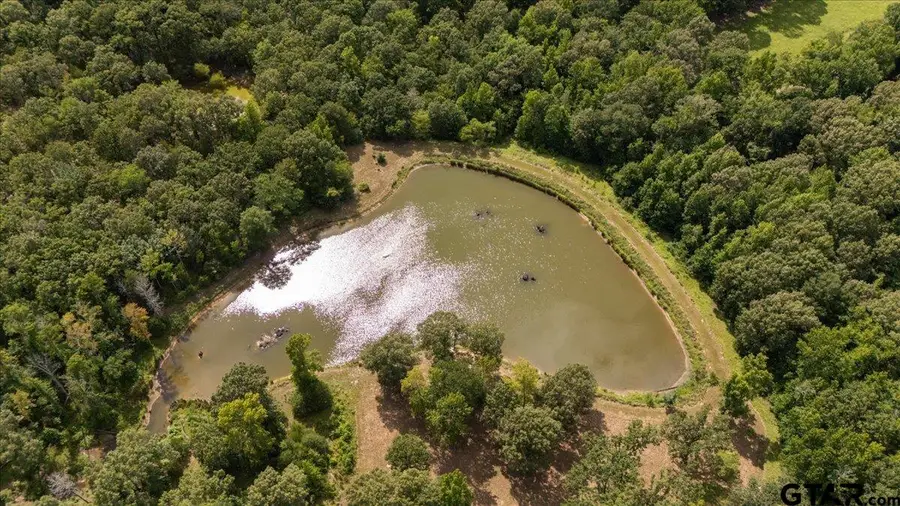 1522 Fm 17, Grand Saline, TX 75140 - #3