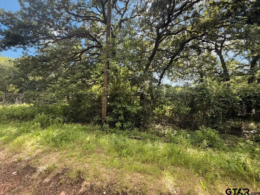 TBD Canyon Cir., Tyler, TX 75706 - #2