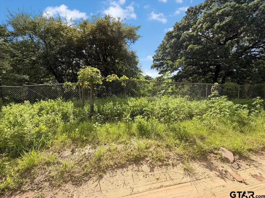 TBD Canyon Cir., Tyler, TX 75706 - #3