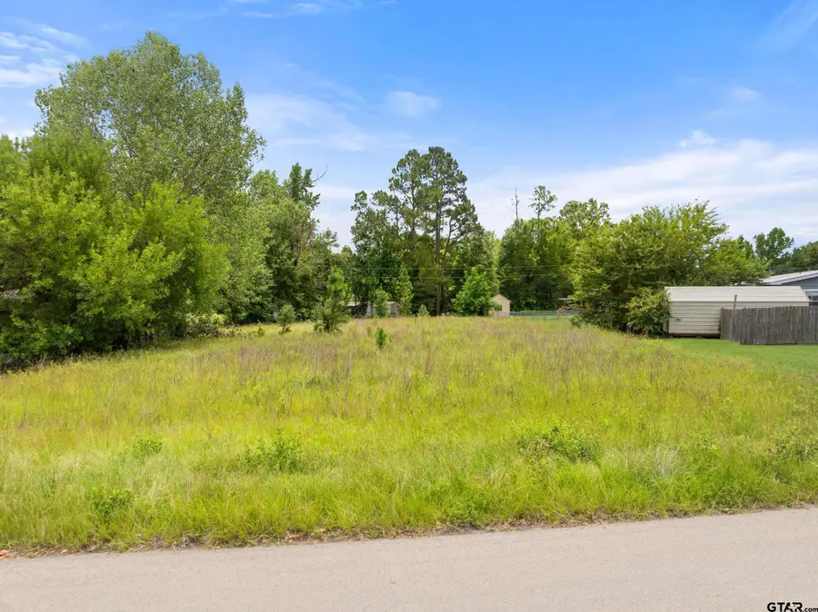 16227 Janan Drive, Tyler, TX 75707 - #2