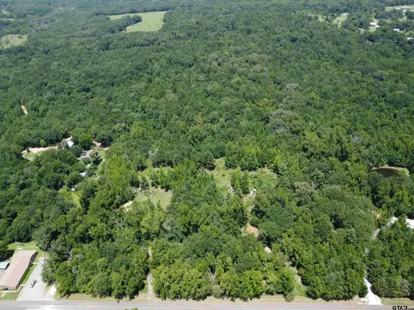 14164 County Road 471, Tyler,  75706