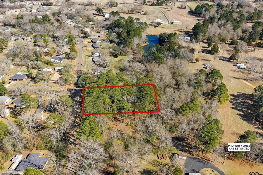 2808 Carroll Ave, Kilgore, TX 75662 - #2