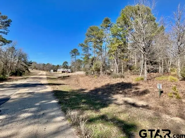 LOT 10 Cr 3545, Hawkins, TX 75765 - #1