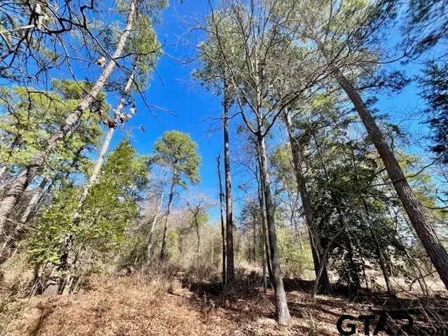 LOT 10 Cr 3545, Hawkins, TX 75765 - #3