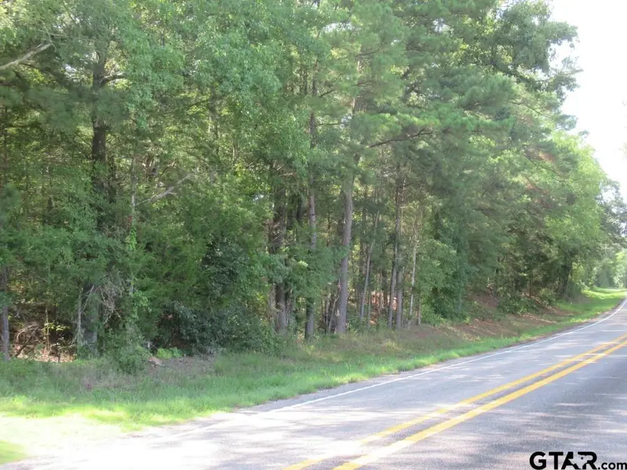 16.12 AC Fm 757, Winona, TX 75792 - #2