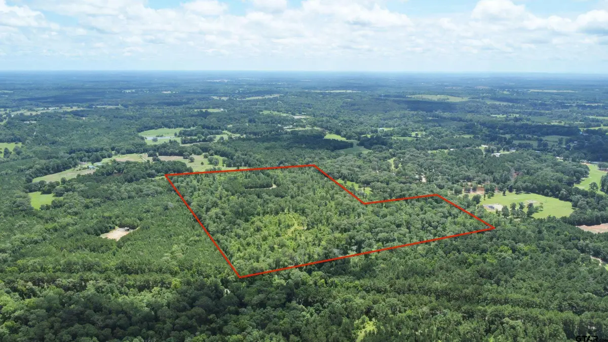 21930 County Road 2155, Troup, TX 75789 - #1