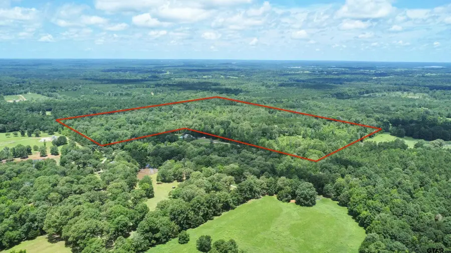 21930 County Road 2155, Troup, TX 75789 - #3