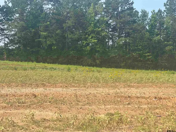 tbd Sweet Pea Ln, Hallsville,  75650
