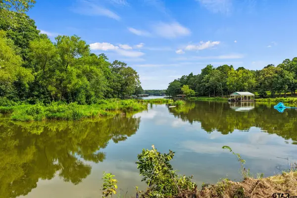 133 Sandy Lake, Scroggins,  75480