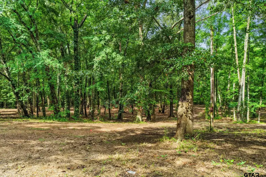 133 Sandy Lake, Scroggins, TX 75480 - #3