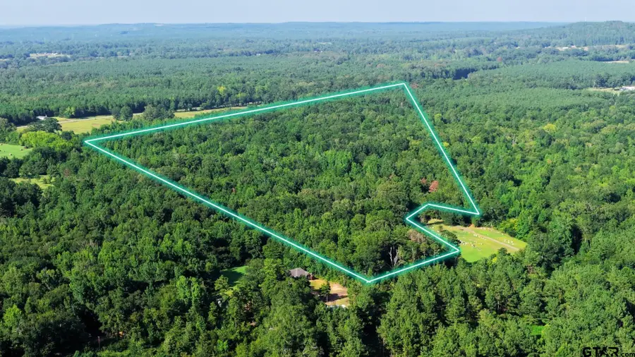 TBD County Road 3201, Mount Enterprise, TX 75681 - #2