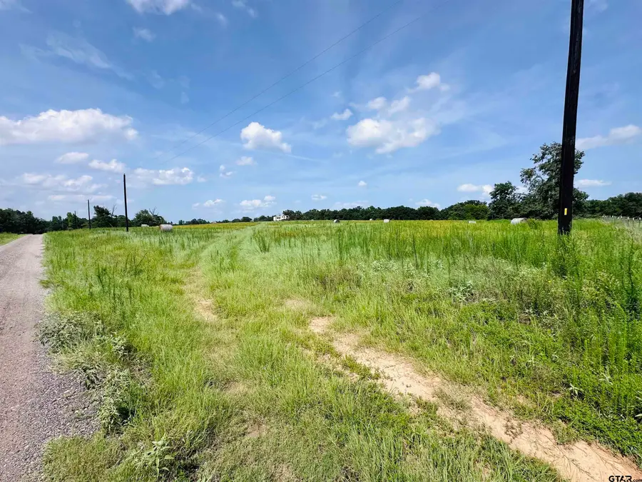 24620 Pr 8102, Frankston, TX 75763 - #3