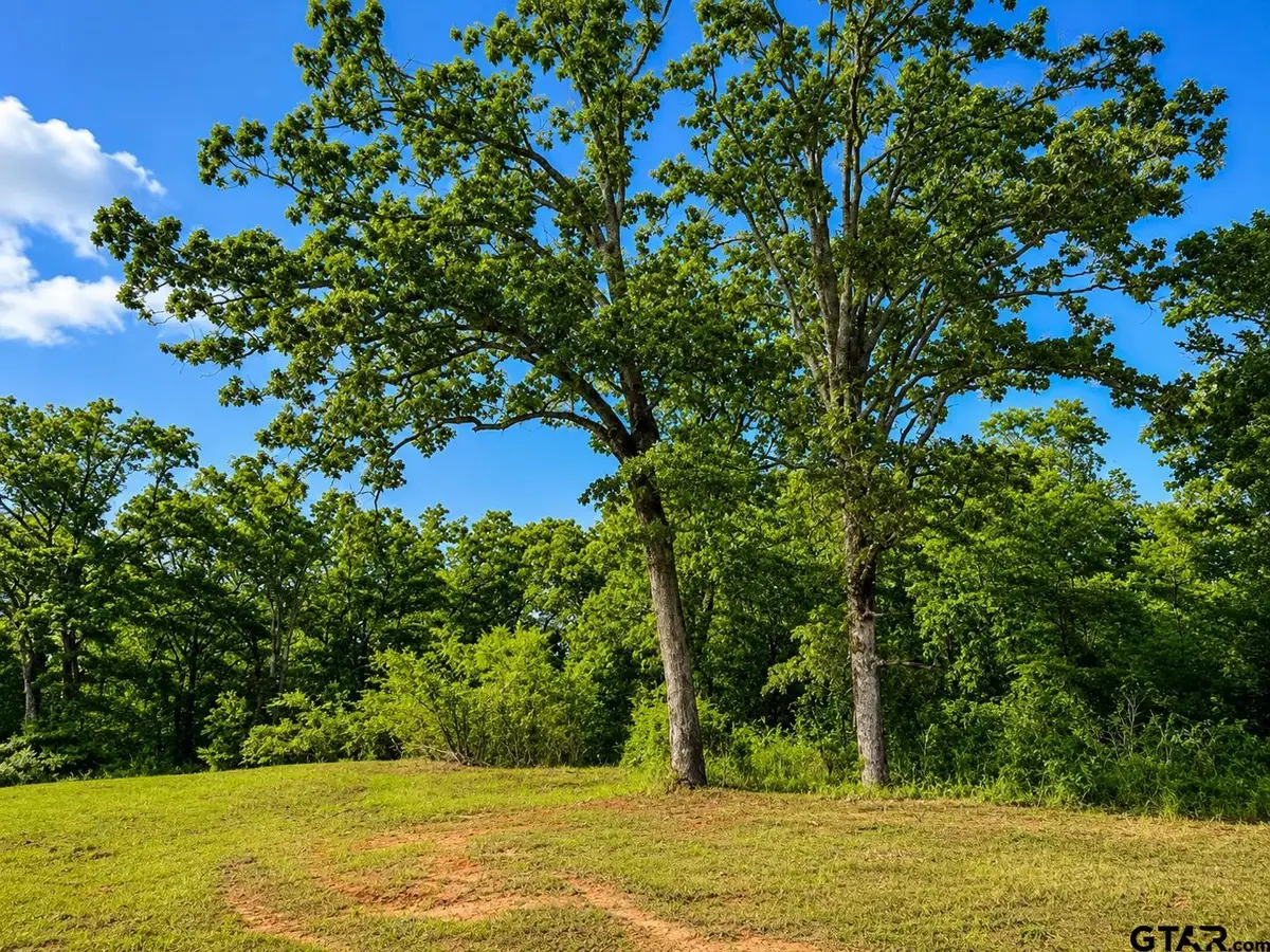 TBD W Hwy 80, Mineola, TX 75773 - #1