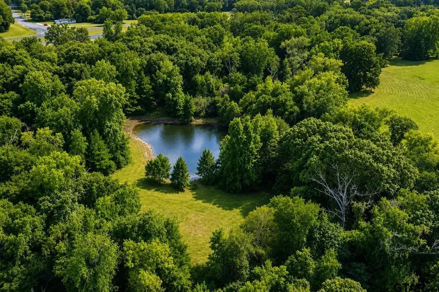 TBD W Hwy 80, Mineola, TX 75773 - #2