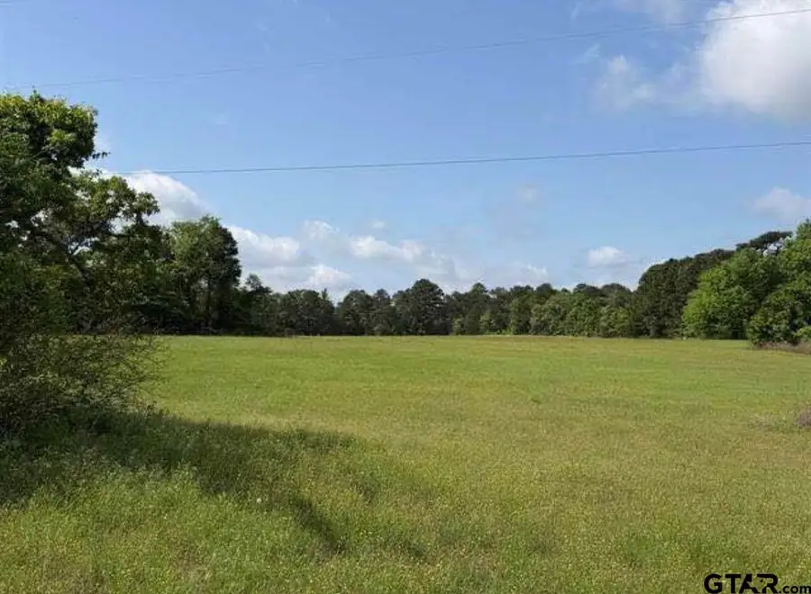 TBD Cr 3147, Tyler, TX 75706 - #3
